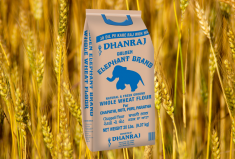 Whole Wheat Atta Flour - Blue Bag (Dhanraj)  - 20 LB 