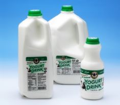 Karoun Mint Yogurt drink - 1/2 Gallon 